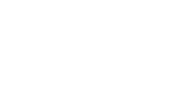 sparzz