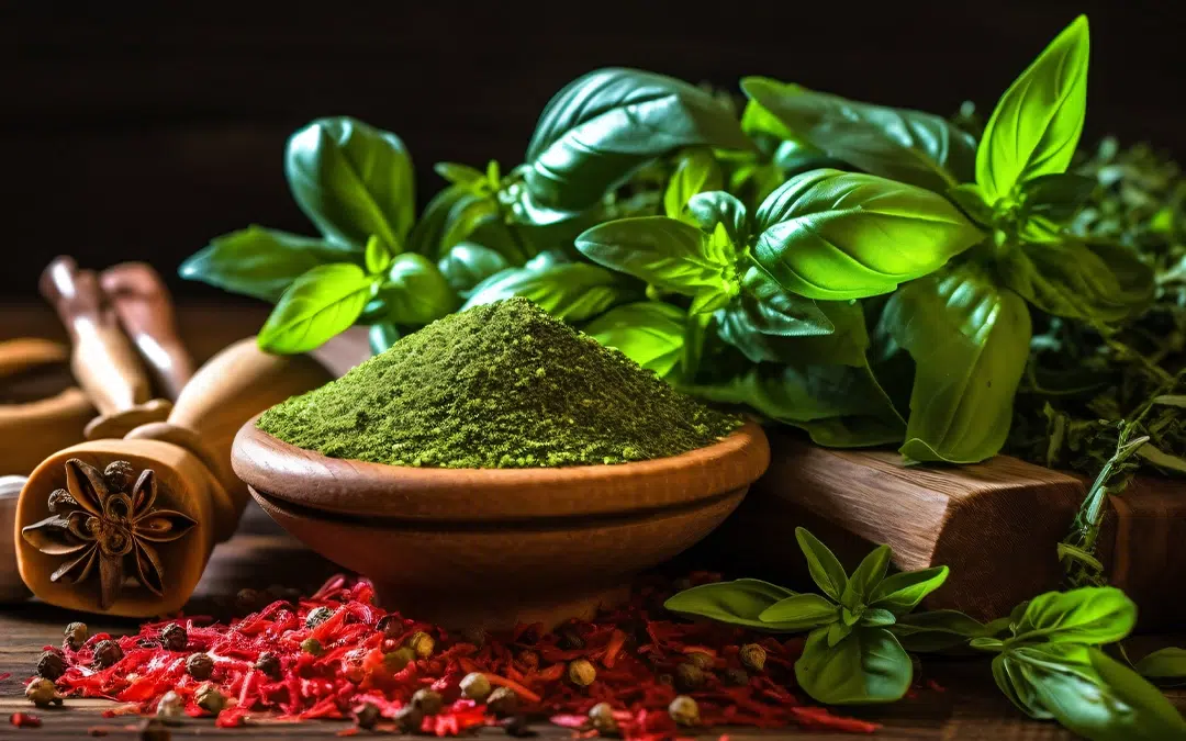 Definition of kava pepper: