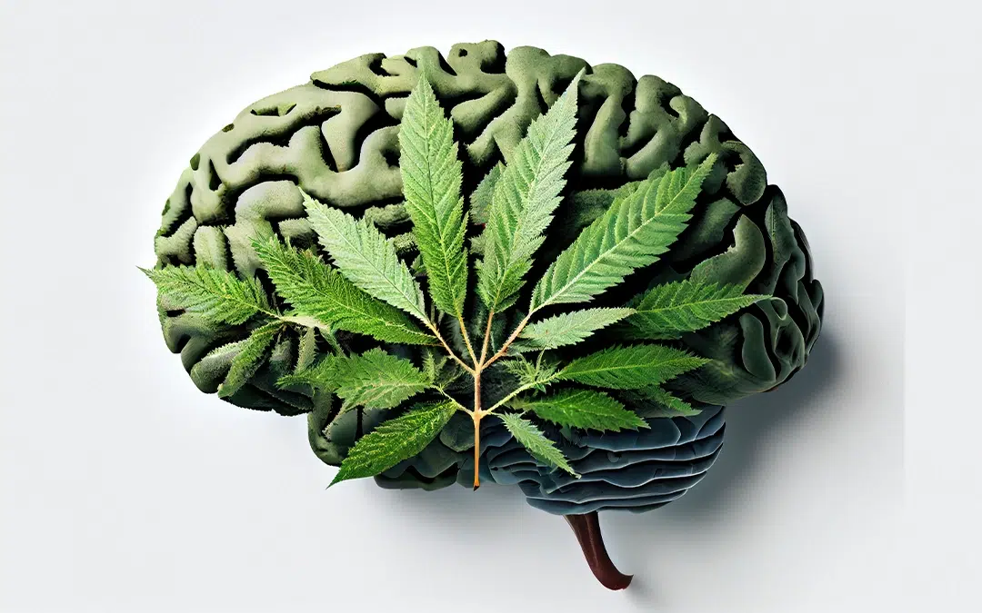 Brain Benefits:
